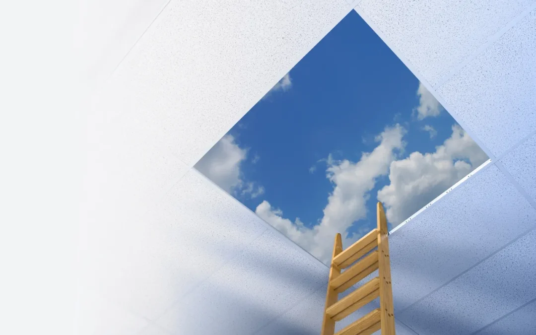 Inclusion Starts Small: Everyday Actions That Create Real Change