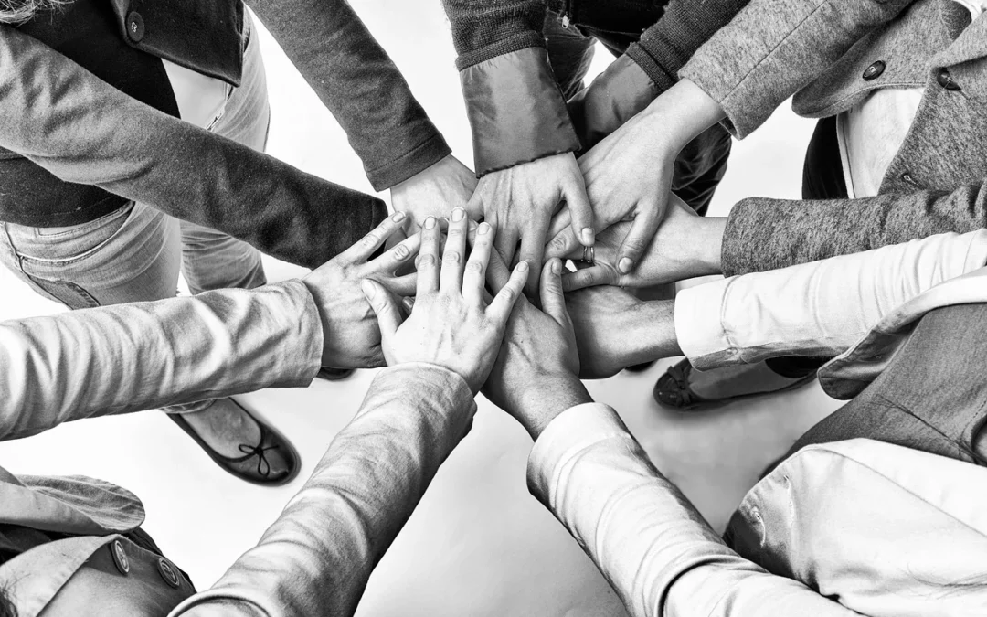 Change Leadership: Organizational Culture & Communications Plan